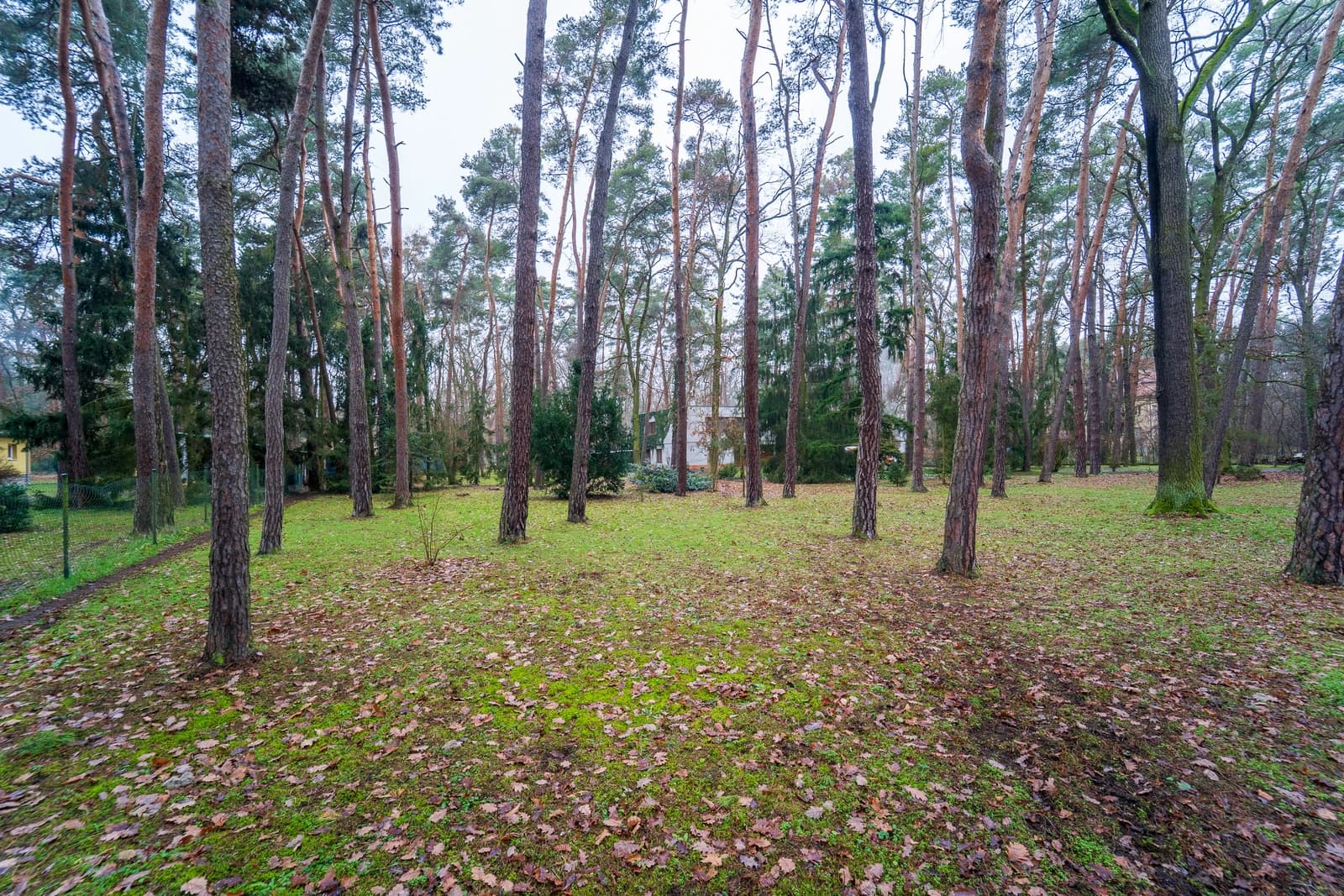 Prodej stavebního pozemku 2800m2 - Kersko u Sadské